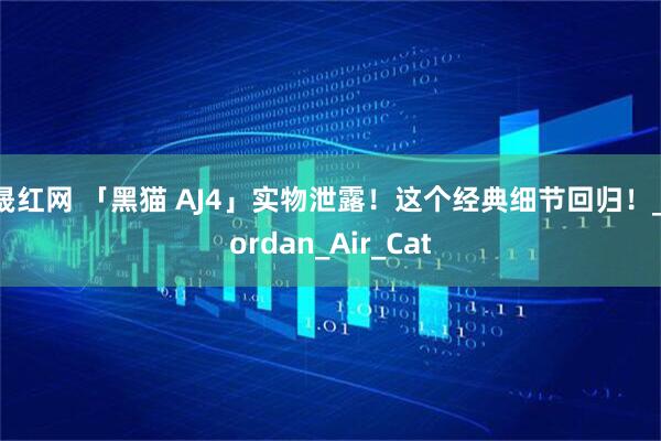 晟红网 「黑猫 AJ4」实物泄露！这个经典细节回归！_Jordan_Air_Cat
