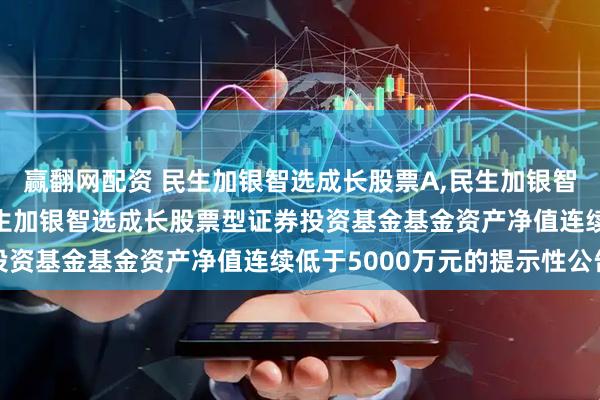 赢翻网配资 民生加银智选成长股票A,民生加银智选成长股票C: 关于民生加银智选成长股票型证券投资基金基金资产净值连续低于5000万元的提示性公告