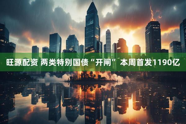 旺源配资 两类特别国债“开闸” 本周首发1190亿